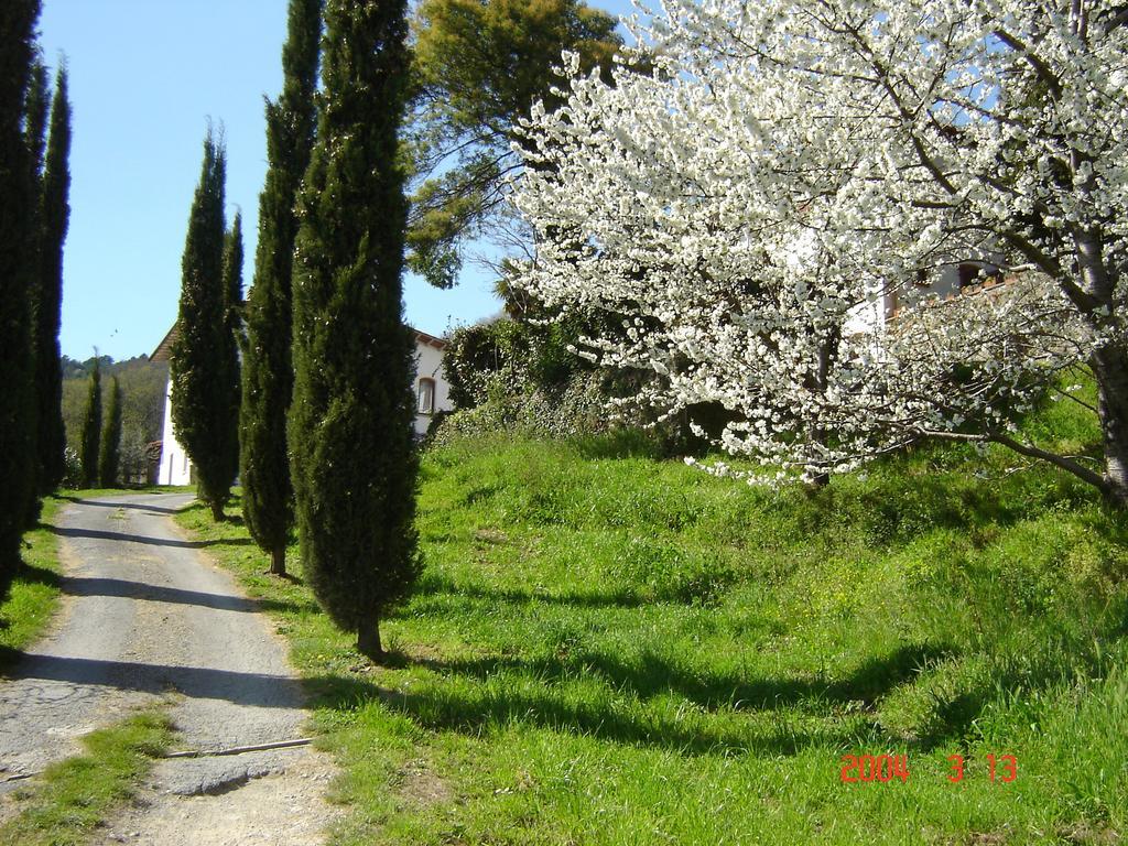 Podere"Sulle Soglie Del Bosco" Appartament And Rooms Pescia Exterior photo