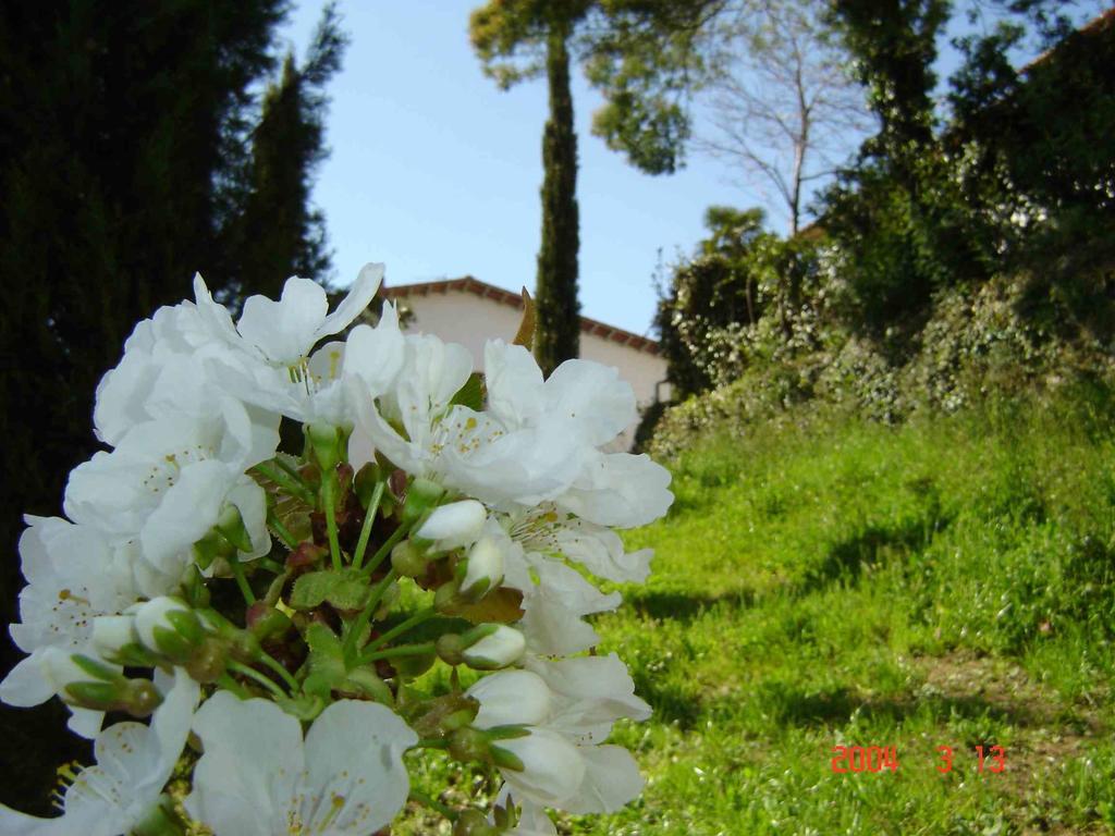 Podere"Sulle Soglie Del Bosco" Appartament And Rooms Pescia Exterior photo