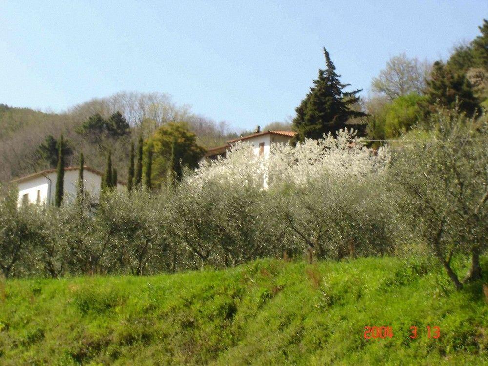 Podere"Sulle Soglie Del Bosco" Appartament And Rooms Pescia Exterior photo